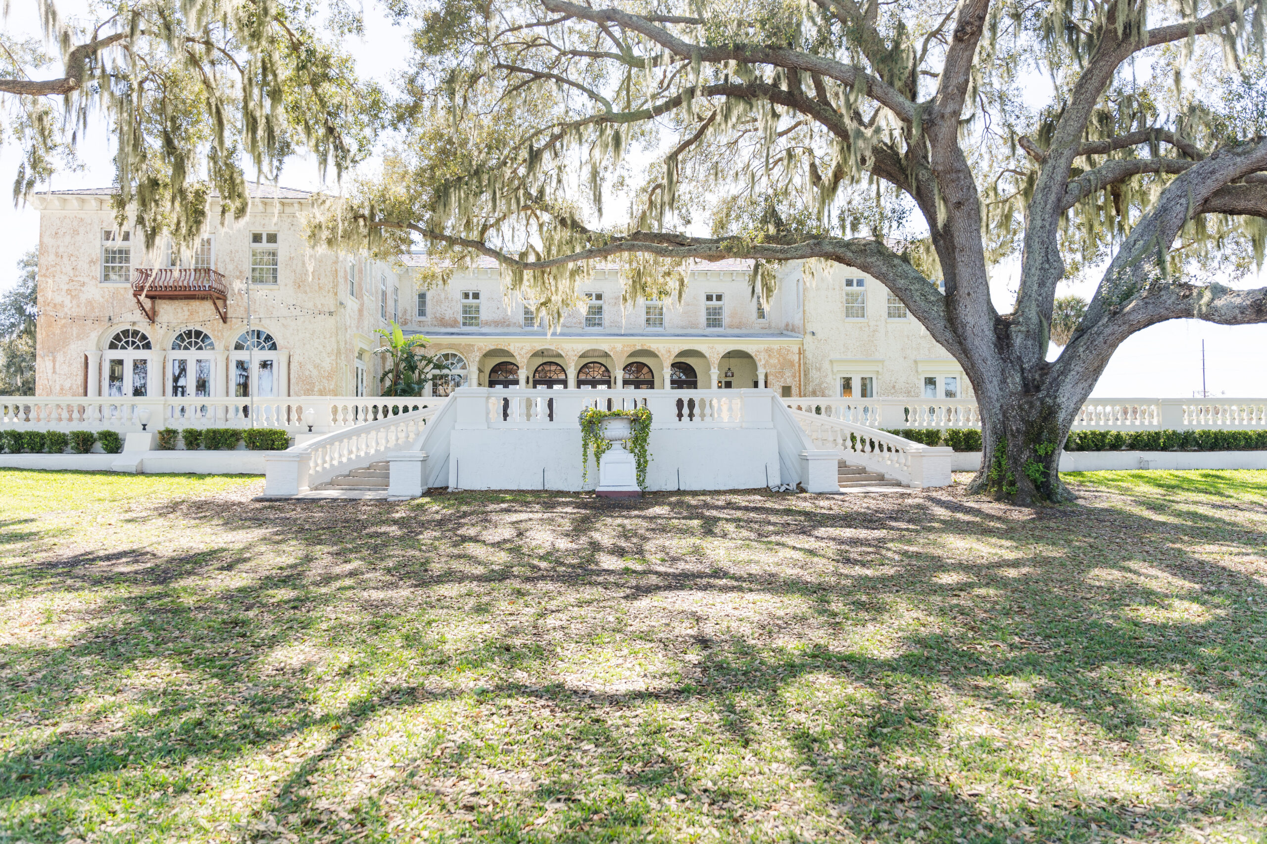 Wedding venue showing large tree with spanish moss