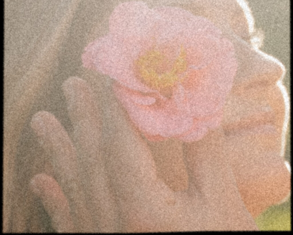 Bok tower gardens photoshoot